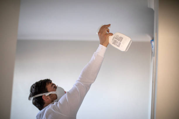 Best Mold Testing and Inspection Services in Olivet, NJ
