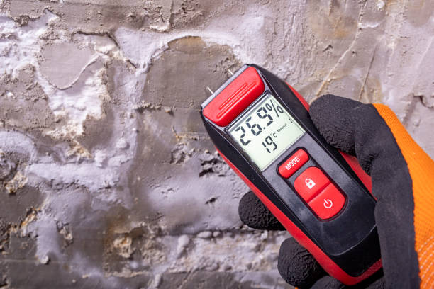 Best Industrial Mold Remediation in Olivet, NJ