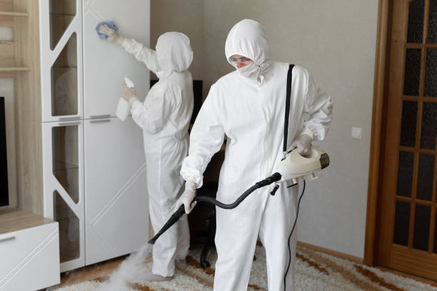 Best Commercial Mold Remediation in Olivet, NJ