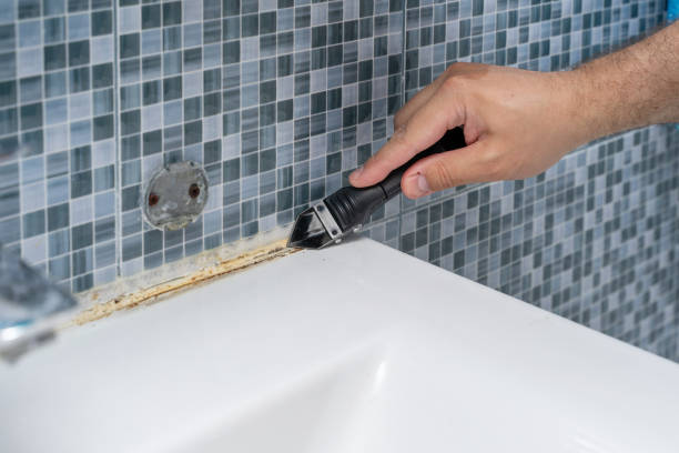 Best Mold Remediation for Schools in Olivet, NJ